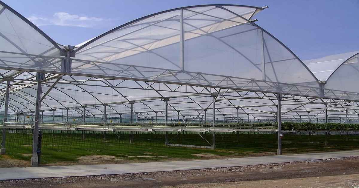 لوله گالوانیزه گرم (گلخانهای)
